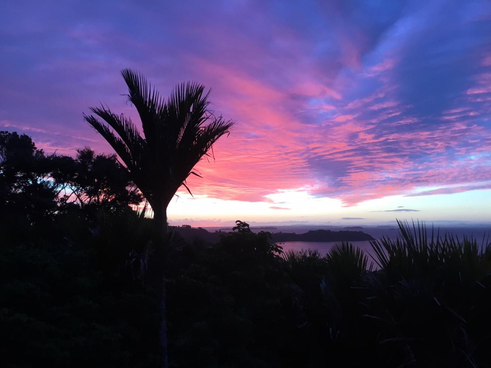 Nikau Apartments Waiheke Island Onetangi ภายนอก รูปภาพ