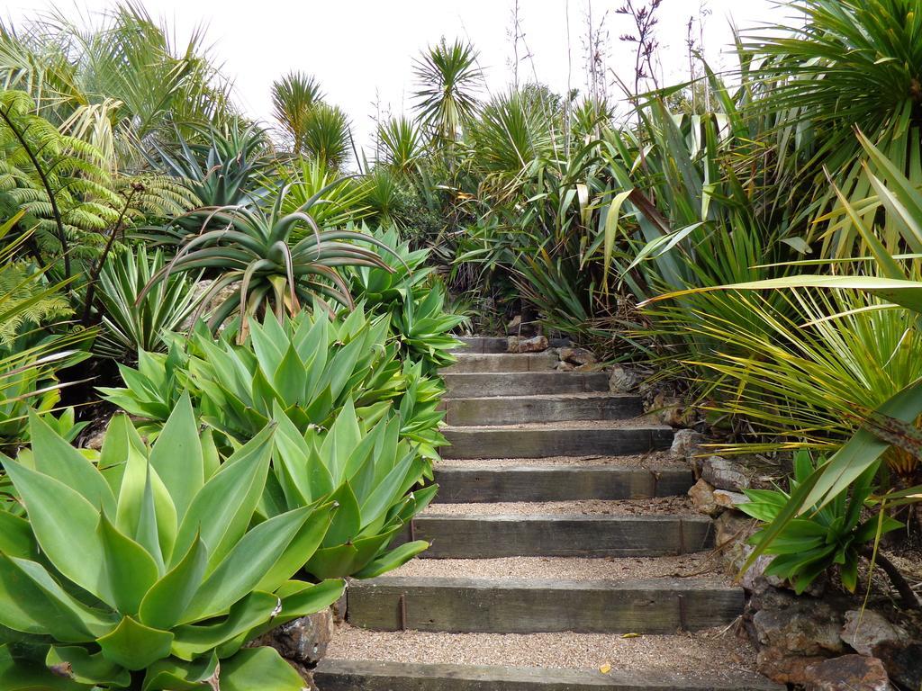 Nikau Apartments Waiheke Island Onetangi ภายนอก รูปภาพ